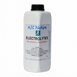 électrolytes cheval en bidon de 1L