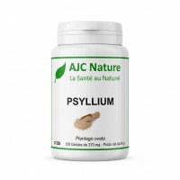 G538 Psyllium Blond Ispaghul Tégument en gélules