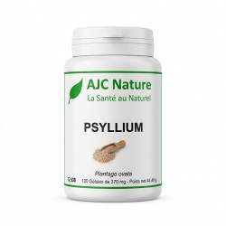 G538 Psyllium Blond Ispaghul Tégument en gélules
