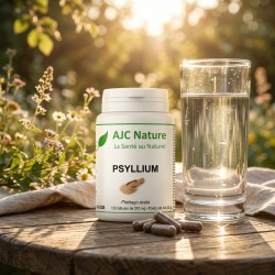 G538 Psyllium Blond Ispaghul Tégument en gélules