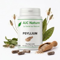G538 Psyllium Blond Ispaghul Tégument en gélules