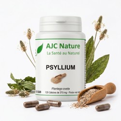 G538 Psyllium Blond Ispaghul Tégument en gélules