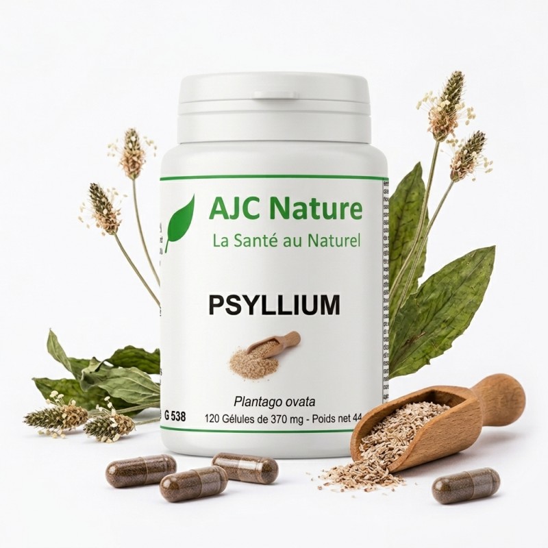 G538 Psyllium Blond Ispaghul Tégument en gélules