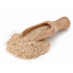 G538 Psyllium Blond Ispaghul Tégument en gélules