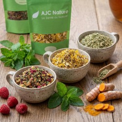 T452 Lot de 3 sachets Vrac 100g de thés glacés gourmands et naturels