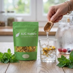 T452 Lot de 3 sachets Vrac 100g de thés glacés gourmands et naturels