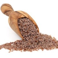 PSYLLIUM | Cheval