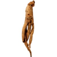 GÉLULES GINSENG BIO