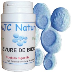 GÉLULES ÉCHINACÉE BIO