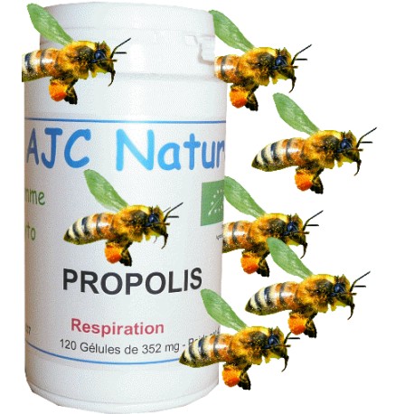 GÉLULES PROPOLIS BIO