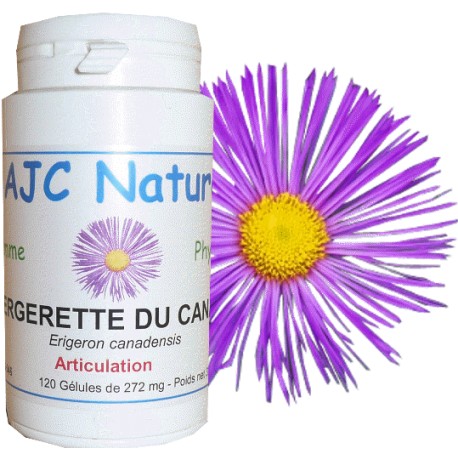 GÉLULES VERGERETTE GÉLULES VERGERETTE
