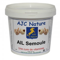 AIL SEMOULE | Cheval