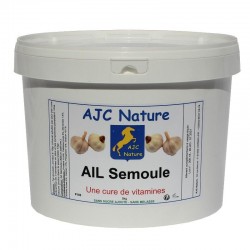 AIL SEMOULE | Cheval