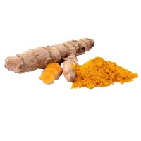 CURCUMA BIO | Cheval