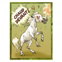 ANTI STRESS | Cheval