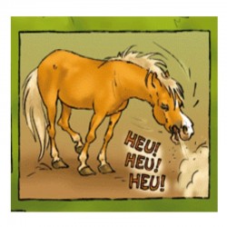 AIDE RESPIRATOIRE Huile | Cheval