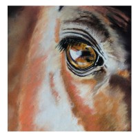 SOINS DES YEUX | Cheval