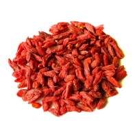 BAIES DE GOJI | Cheval