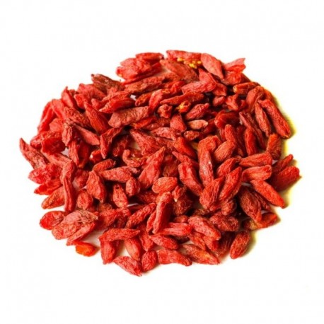 BAIES DE GOJI | Cheval BAIES DE GOJI | Cheval