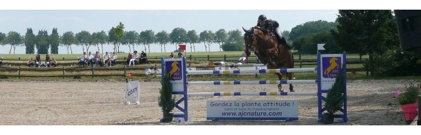 Compléments alimentaires pour le cheval de sport et de compétition | AJC Nature