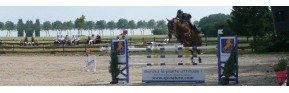 Compléments alimentaires pour le cheval de sport et de compétition | AJC Nature