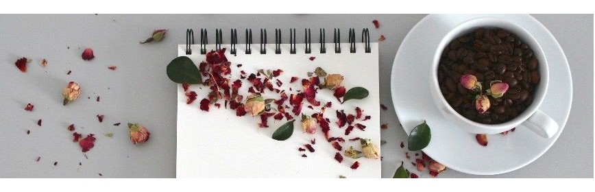 Bilan de Santé Bilan de Santé | AJC Nature