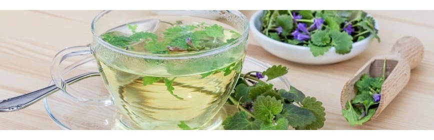 Tisanes Bien-être Bio Tisanes aux Plantes Bio | AJC Nature
