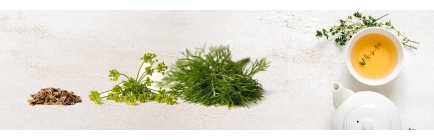 Plante Pure Bio pour tisane Plante Pure Bio pour Tisane | AJC Nature