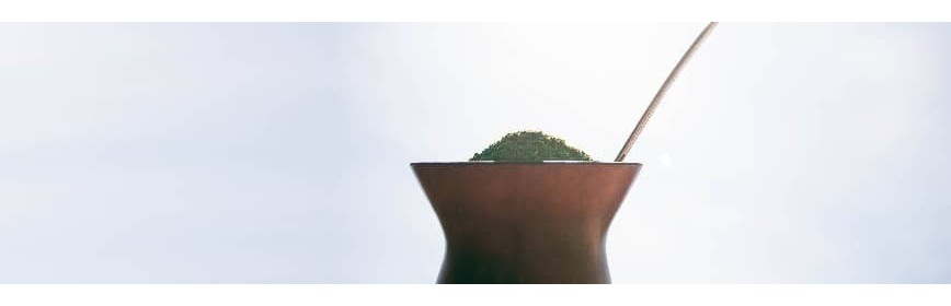 Maté Bio aux fruits Maté Bio aux fruits | Thés et Tisanes aromatisés | AJC Nature