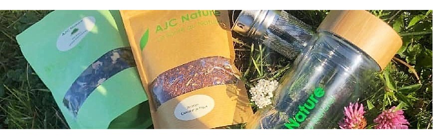 Accessoires : Bouteille et Sachets infuseur pour tisane Bouteille avec infuseur et sachets pour thé ou de tisane