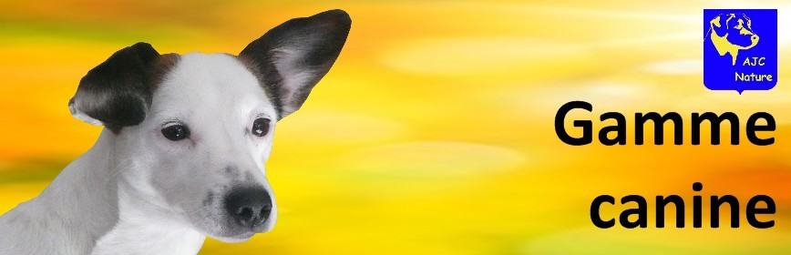 Chien Soins naturels et plantes médicinales pour le chien | AJC Nature