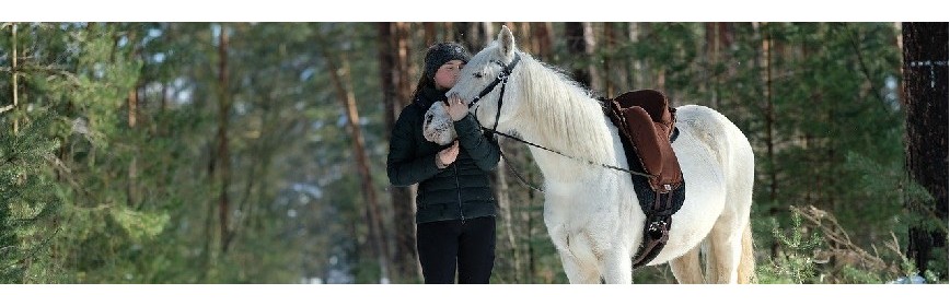Le cheval en hiver| AJC Nature