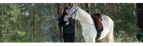 Le cheval en hiver| AJC Nature