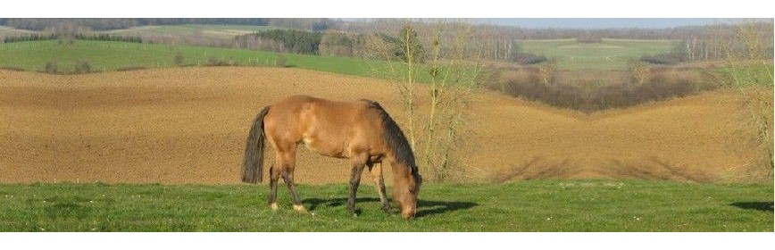 Gamme complète pour traiter la peau du cheval | AJC Nature