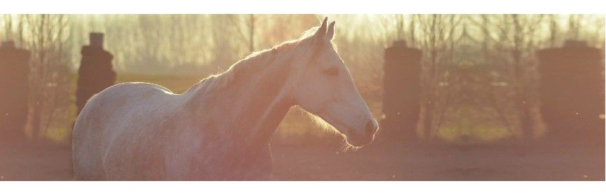 Une sélection de Cures de saison pour le cheval | AJC Nature