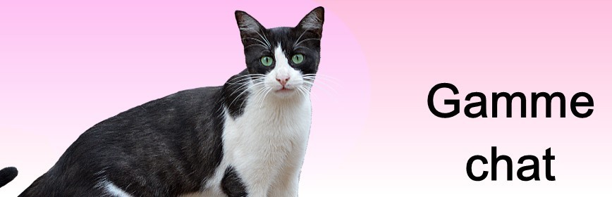 Chat Soins naturels et plantes médicinales pour le chat | AJC Nature