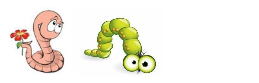 Parasites Intestinaux (vers) LES PARASITES INTESTINAUX | Chien
