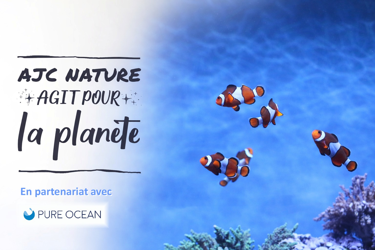 Pure%20Ocean%20-%20AJC%20agit.jpg