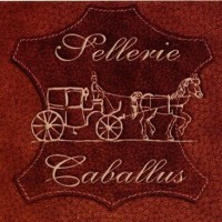 Sellerie CABALLUS