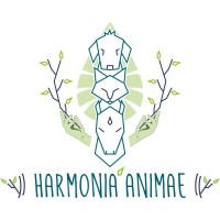 HARMONIA ANIMAE