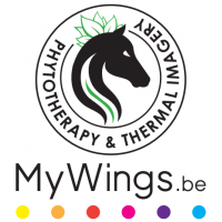 MyWings Partner Consulting